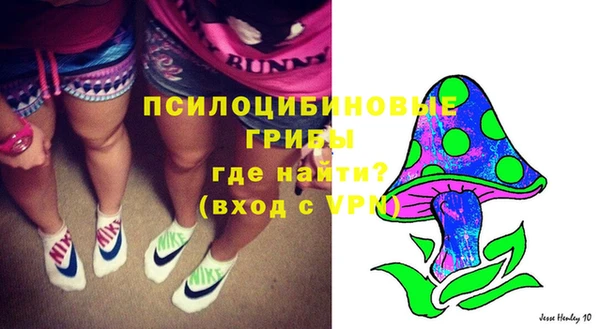 прущая мука Алзамай