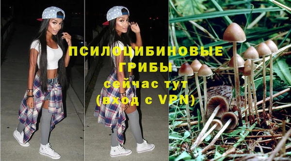 герыч Алексин