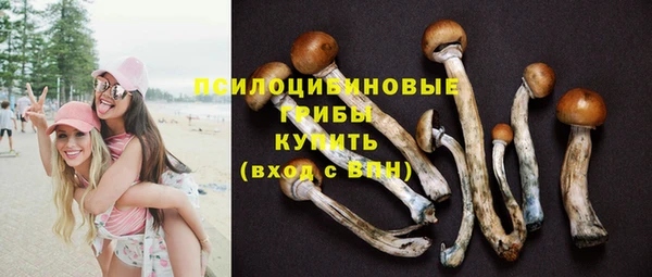 герыч Алексин