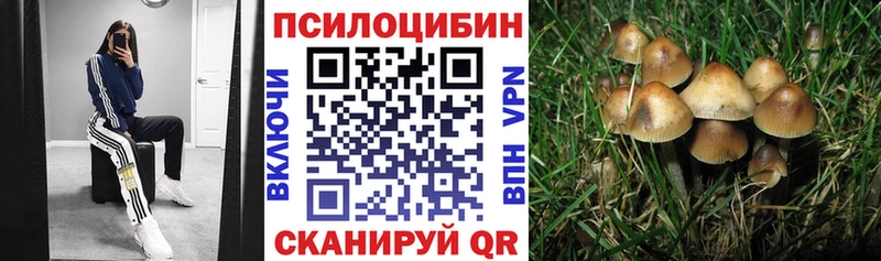 Галлюциногенные грибы Magic Shrooms  Лесной 